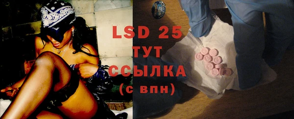 стаф Белокуриха