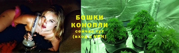 2c-b Богородицк