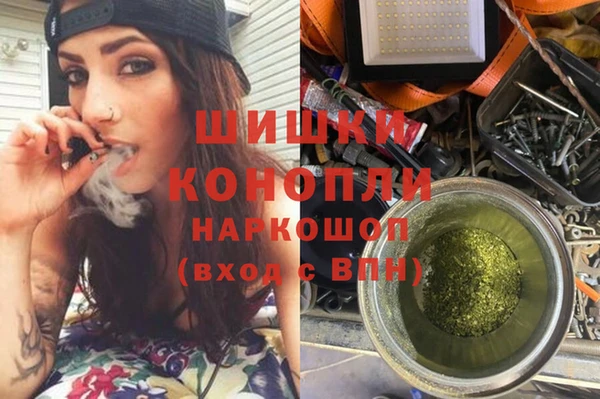 стаф Белокуриха