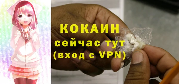 2c-b Богородицк