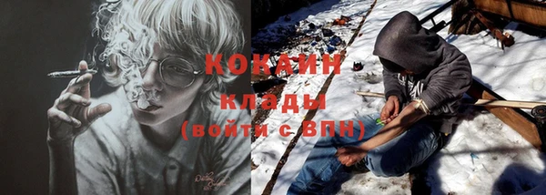 шишки Богданович