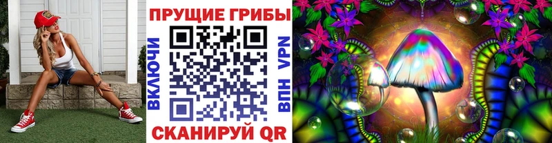 Псилоцибиновые грибы Psilocybe  Горнозаводск 
